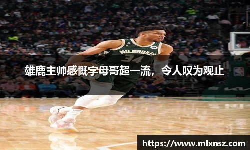 乐动LDSports
