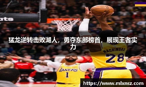 乐动LDSports