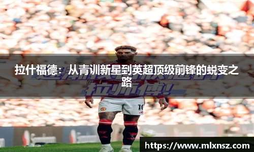 乐动LDSports