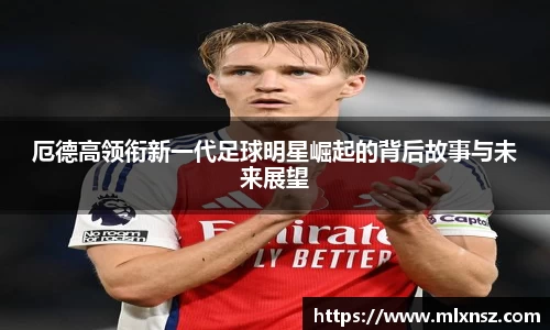 乐动LDSports官网