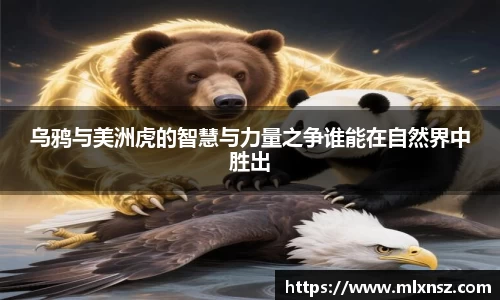 乐动LDSports