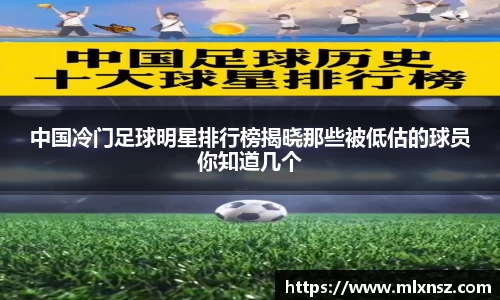 乐动LDSports官网
